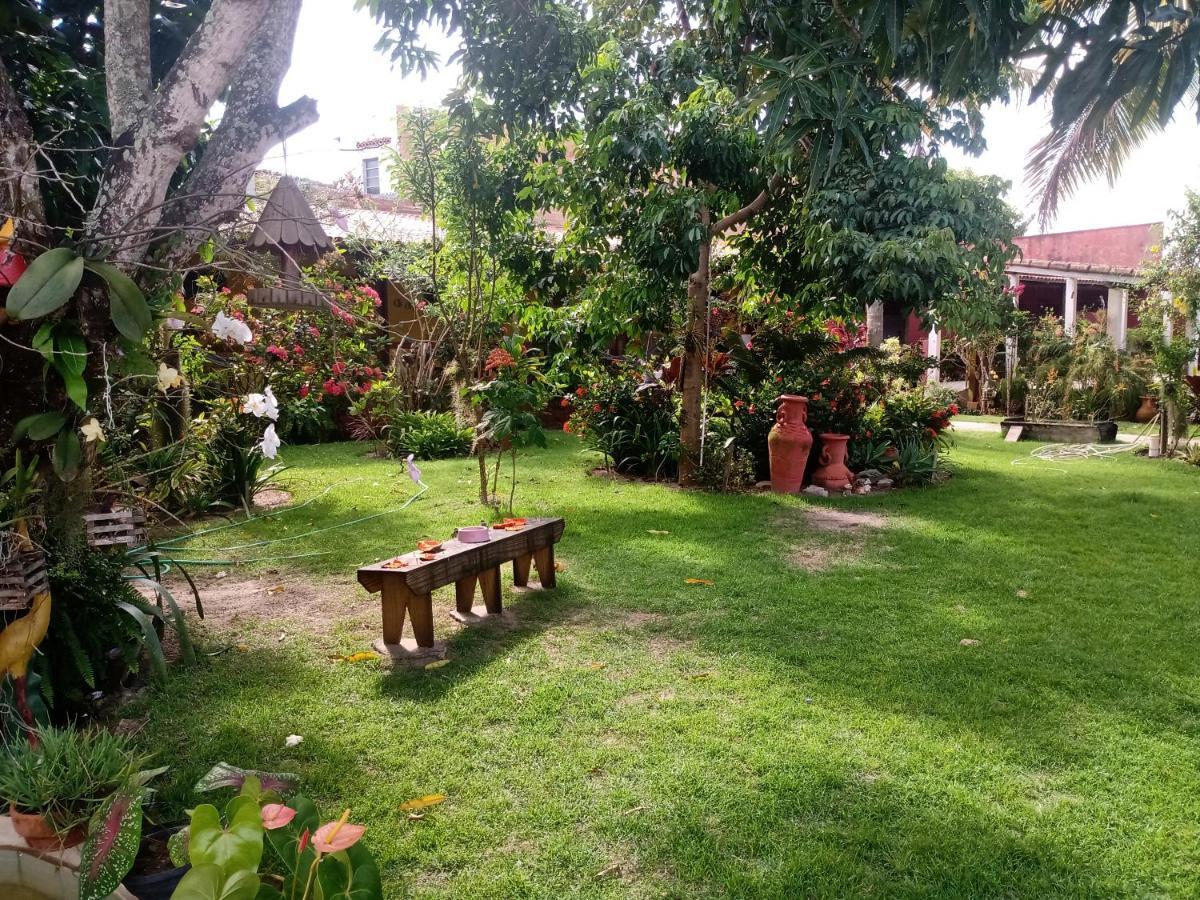 Pousada Bromelias - Suites E Aptos Nova Viçosa Exteriér fotografie