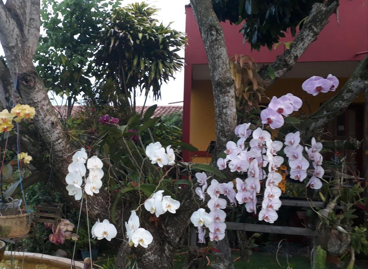 Pousada Bromelias - Suites E Aptos Nova Viçosa Exteriér fotografie